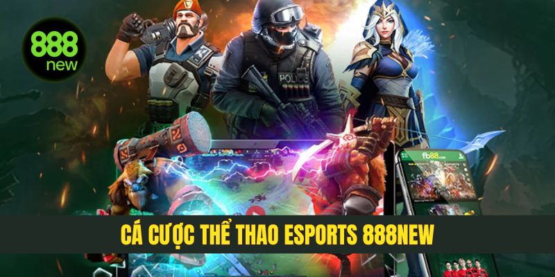 Cá cược Esport 888NEW