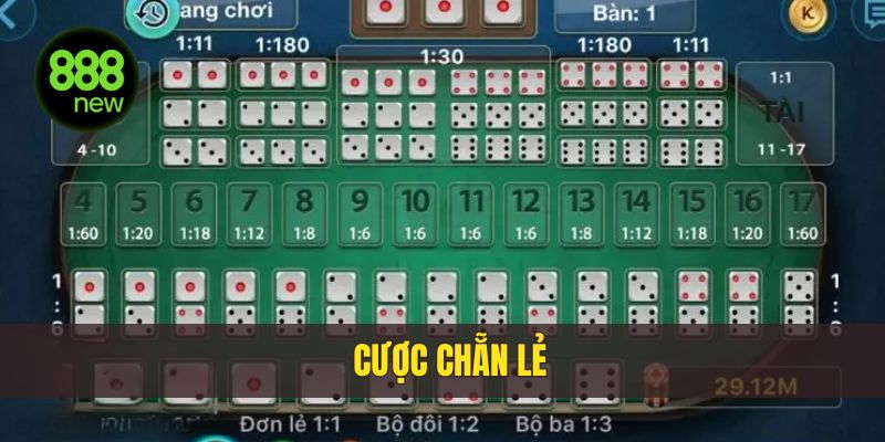 Cược chẵn lẻ hình thức cá cược hấp dẫn