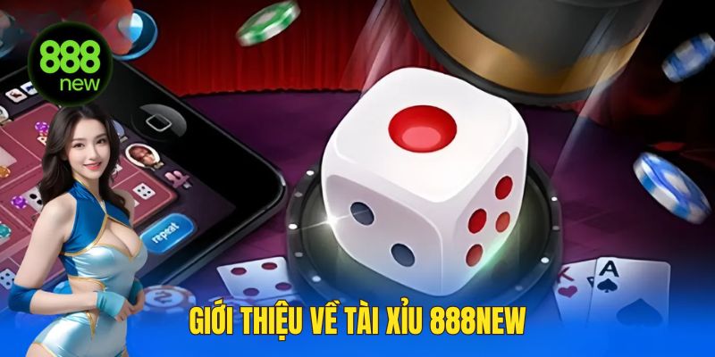 Giới thiệu về tài xỉu 888NEW