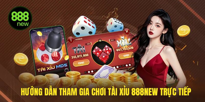 Hướng dẫn để chơi tài xỉu trên 888NEW trực tiếp