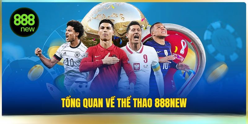 Tổng quan về thể thao 888NEW
